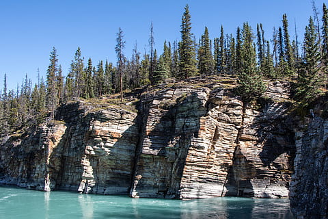 pine trees near body of water, athabasca river, cliff, forest HD wallpaper