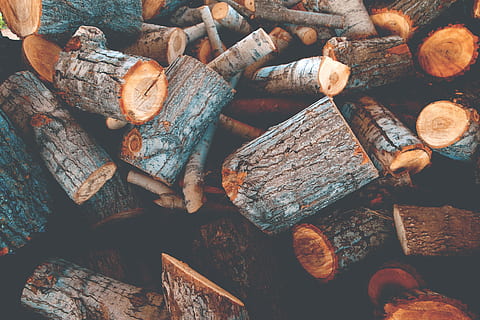 pile of tree logs, file of brown tree trunk, cut, forestry, work HD wallpaper