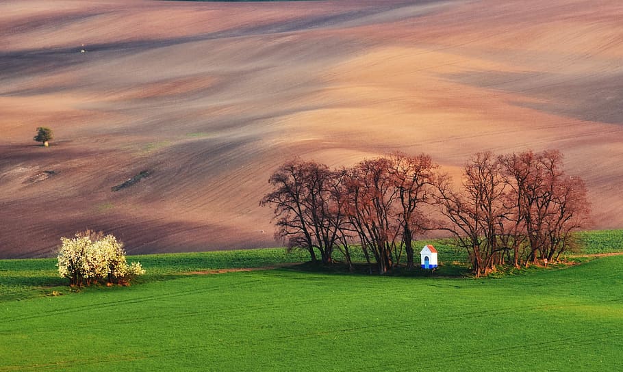 Field, Chapel, Spring, beauty in nature, sunset, grass, tranquility HD wallpaper