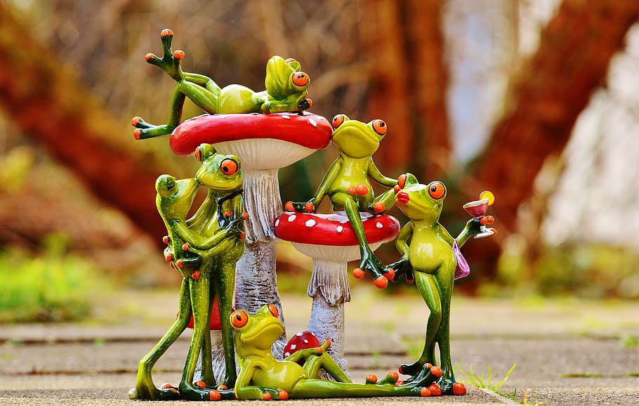 frogs, mushrooms, figures, group, funny, cute, animals, sweet HD wallpaper