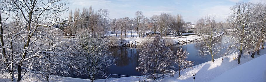 snow, trees, winter, cold, ice, white, outdoors, landscape HD wallpaper
