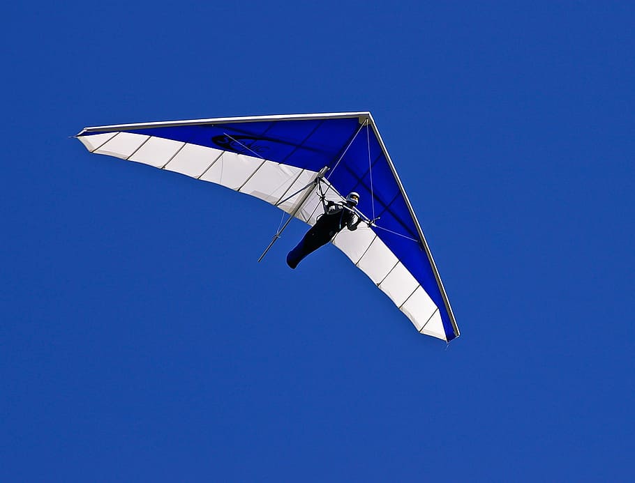 person riding blue and white paraglider in clear sky, hang-glider HD wallpaper