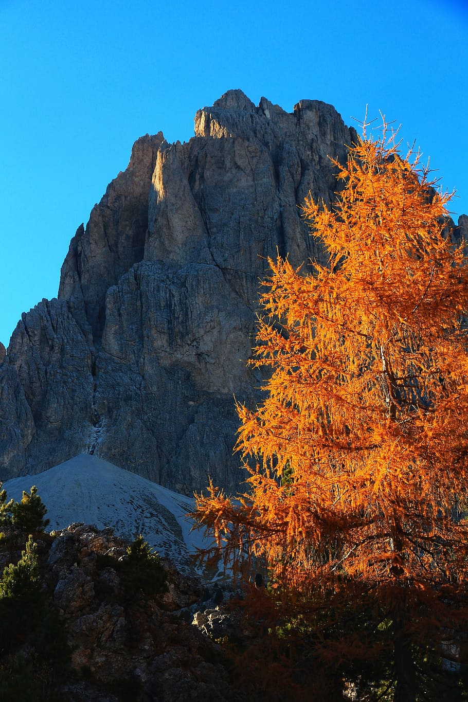 mountain, dolomites, autumn, tree, sky, beauty in nature, rock HD wallpaper