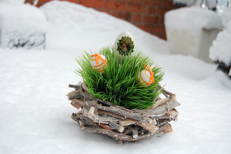 easter, snow, winter, easter egg, easter nest, cold temperature HD wallpaper