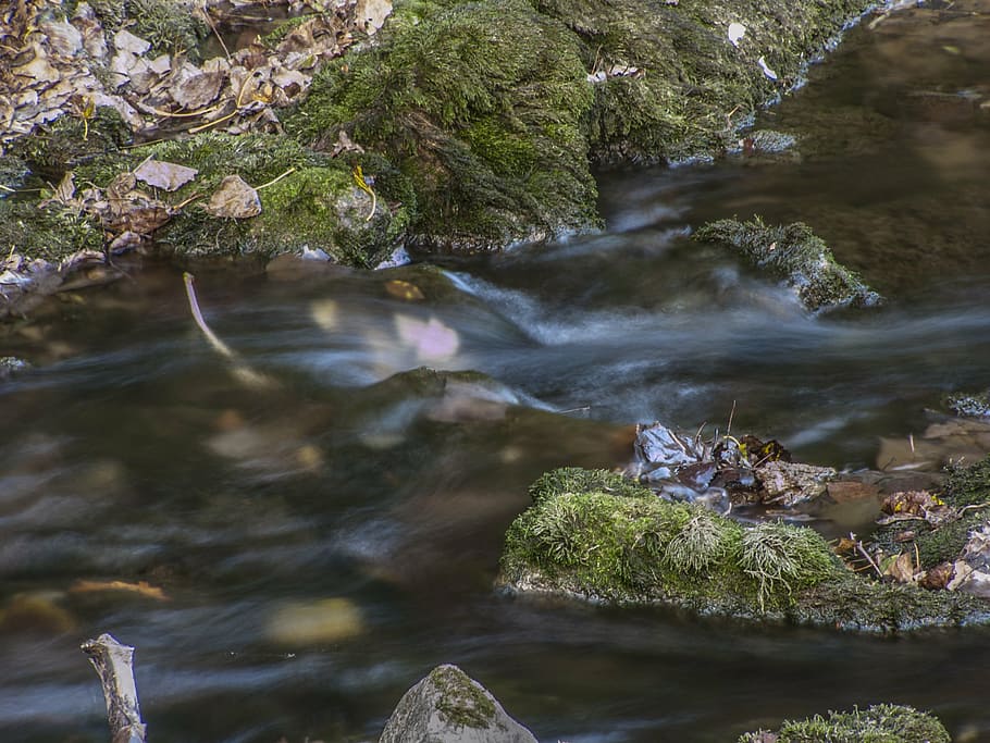 water, danube, river, nature, stream, rock - Object, outdoors HD wallpaper