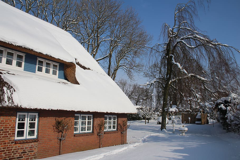 snow, winter, cold, winter magic, building exterior, cold temperature HD wallpaper