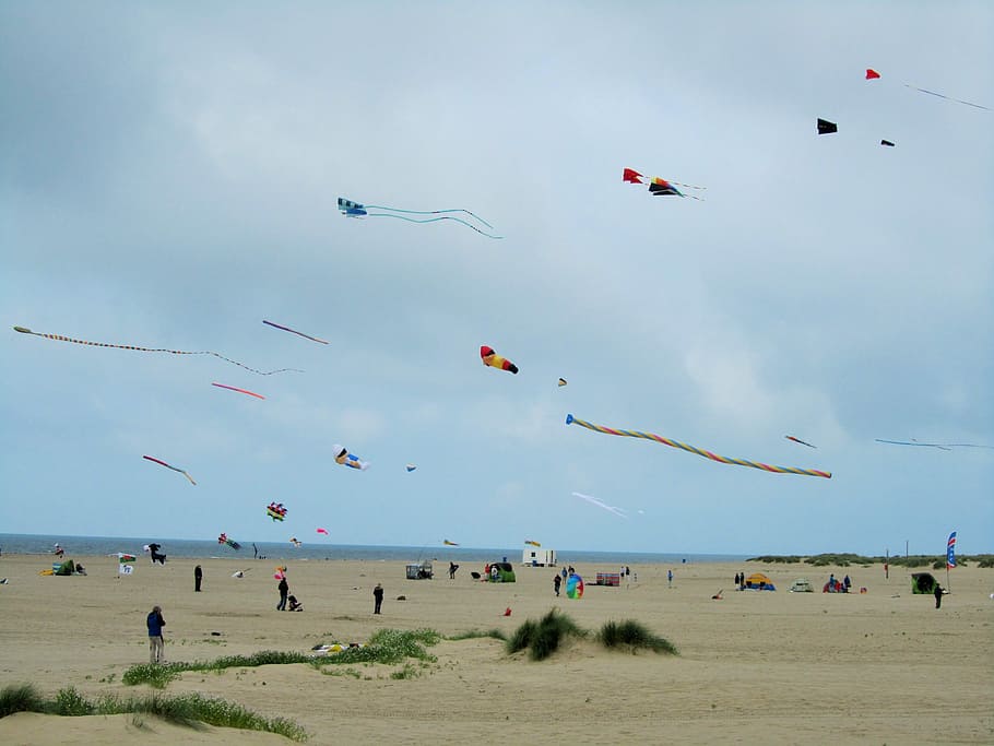 Kite, Wind, Flying, Leisure, Freedom, wales, beach, summer HD wallpaper