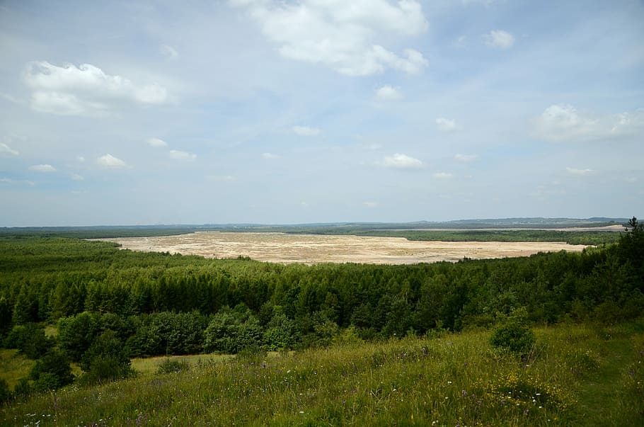 Desert, Forest, View, desert błędowska, summer, landscape HD wallpaper