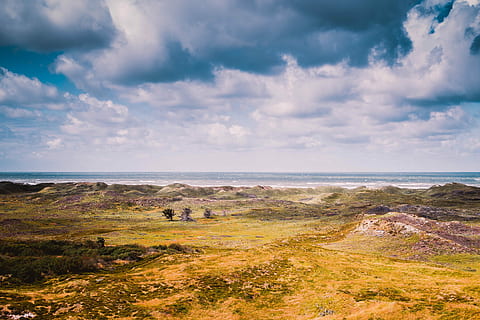 yellow and green grass covered plain under gray sky, green and yellow land near ocean under white clouds at daytime HD wallpaper