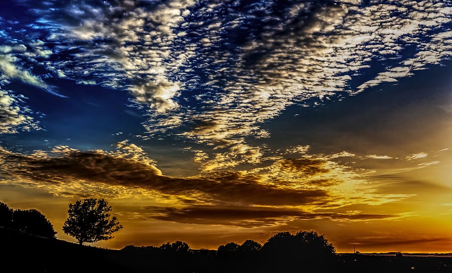 Silhouette, Sunset, Tree, Evening, sky, abendstimmung, mood HD wallpaper