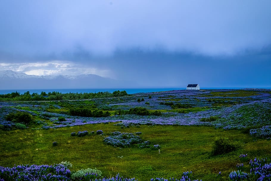 landscape, nature, sky, clouds, beautiful, cloudy, countryside HD wallpaper