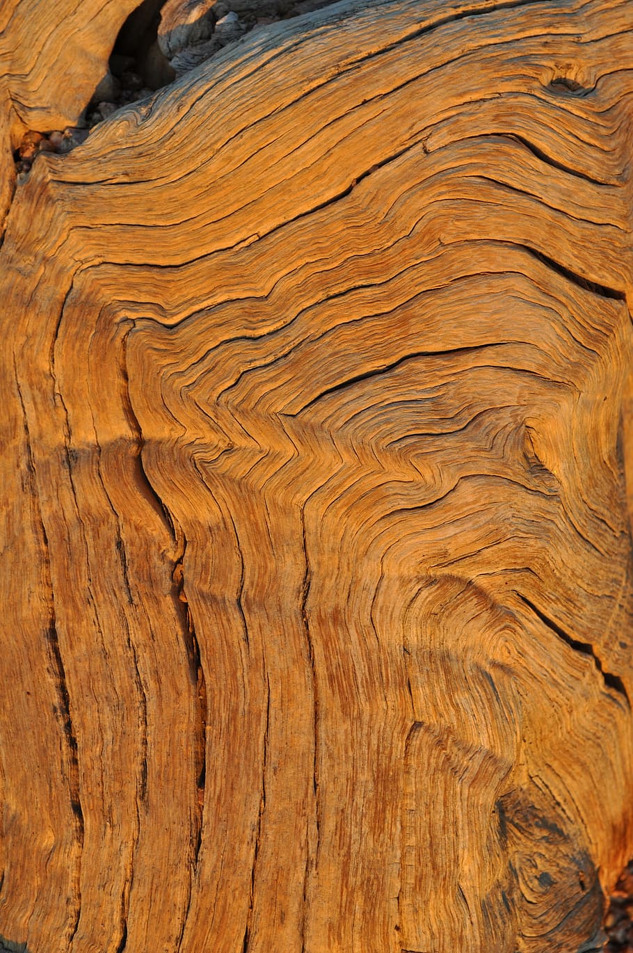 wood, grain, structure, pattern, bark, annual rings, old, backgrounds HD wallpaper