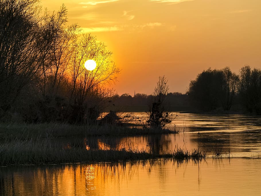 Sunset, Landscape, Nature, Water, reflection, lake, tree, dusk HD wallpaper