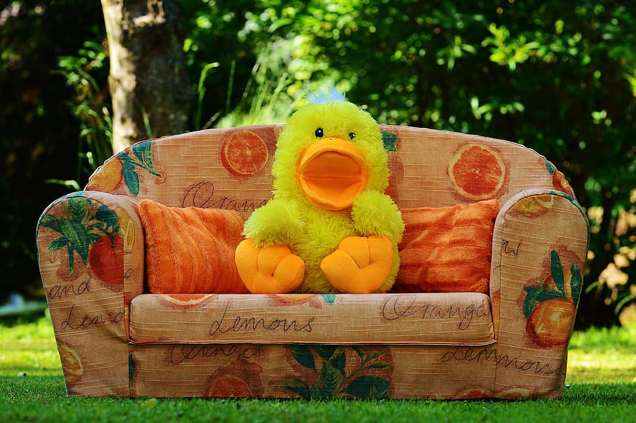 Couch, Sofa, Duck, Soft Toy, Toys, funny, children, meadow HD wallpaper