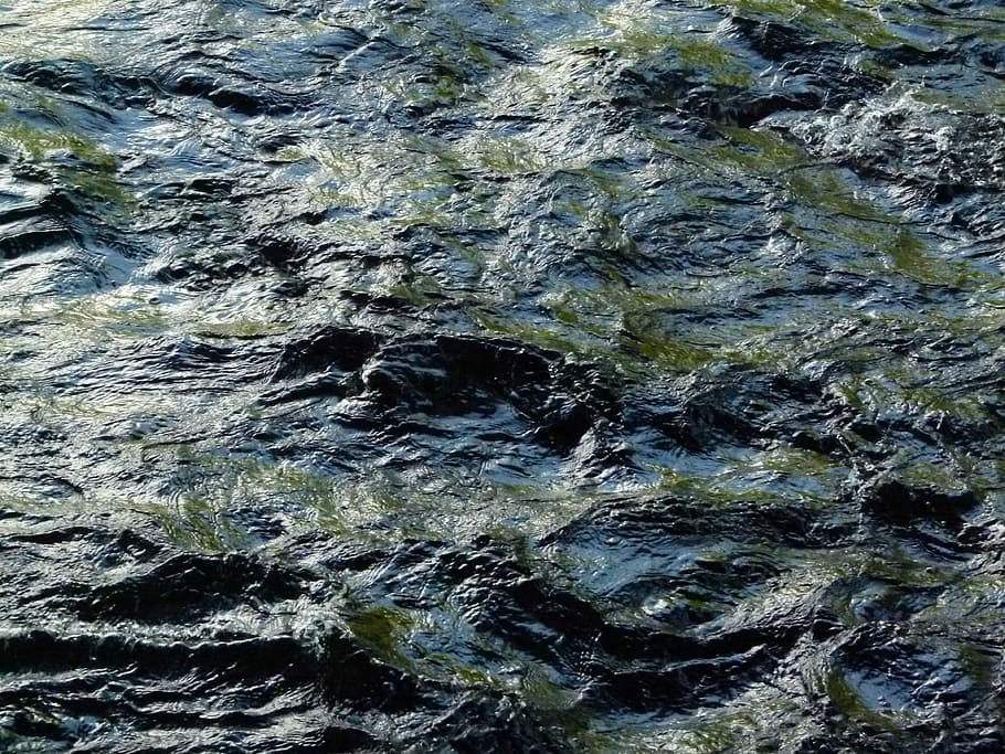Water, Stream, Motion, Flow, Wet, Nature, natural, flowing HD wallpaper