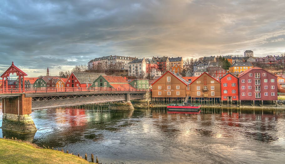 illustration of city and bridge, trondheim, norway, architecture HD wallpaper