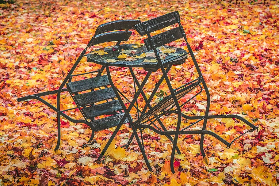 black chair leaning on table, autumn, leaves, fall, red, leaf HD wallpaper