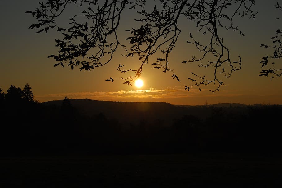 indian summer, sunset, back light, evening, rest, sky, silhouette HD wallpaper
