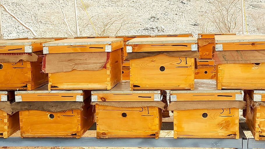 Hive, Beehive, Honey, Bee, Honeybee, desert, orange, wood, box HD wallpaper