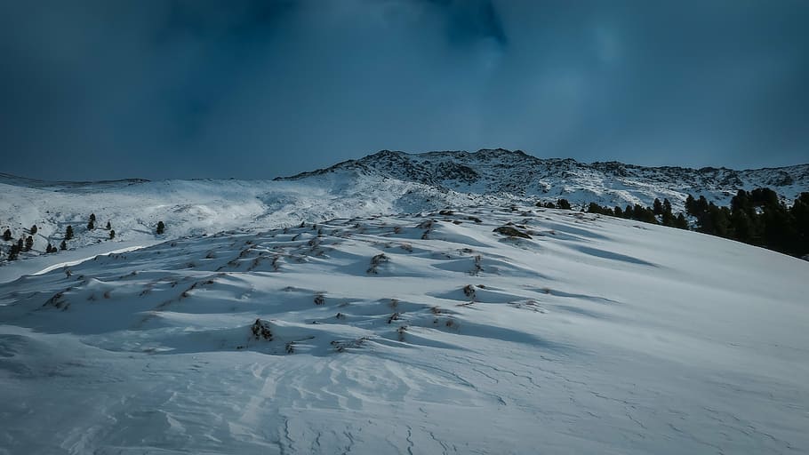 snowy mountain, winter, white, cold, weather, ice, trees, plants HD wallpaper