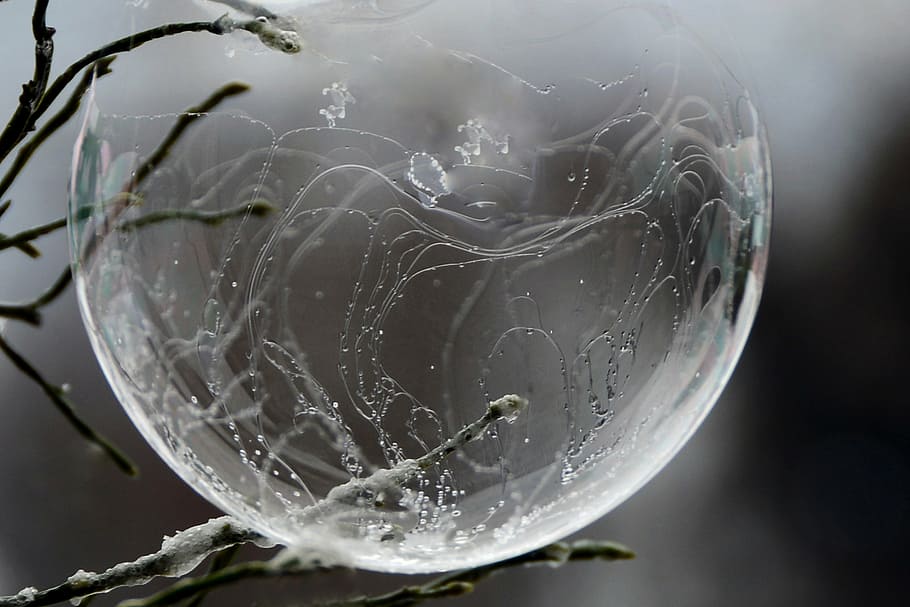 timelapse photography of bubble in branch, soap bubble, zer HD wallpaper