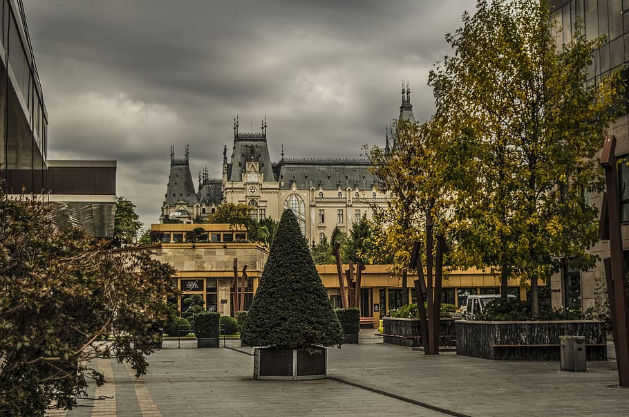 castle, buildings, historic, dramatic, clouds, tree, plant HD wallpaper