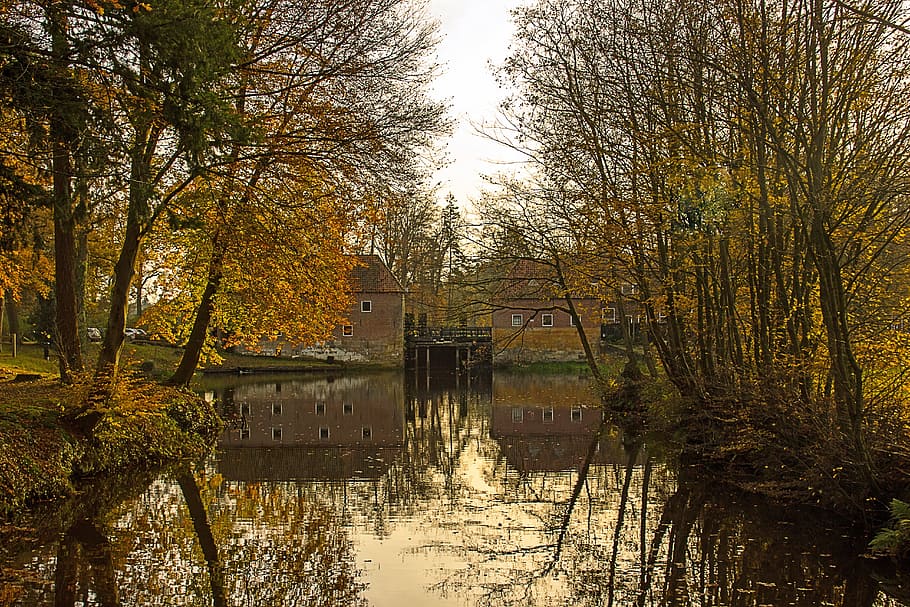 reflection, nature, landscape, tree, plant, water, architecture HD wallpaper