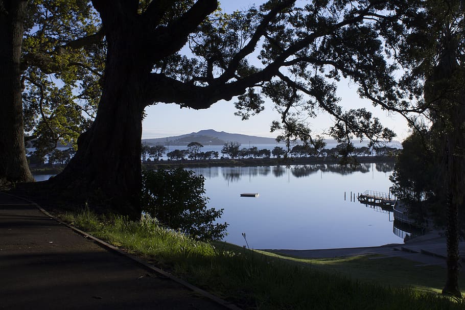 trees, park, estuary, island, path, new zealand, nature, scenery HD wallpaper