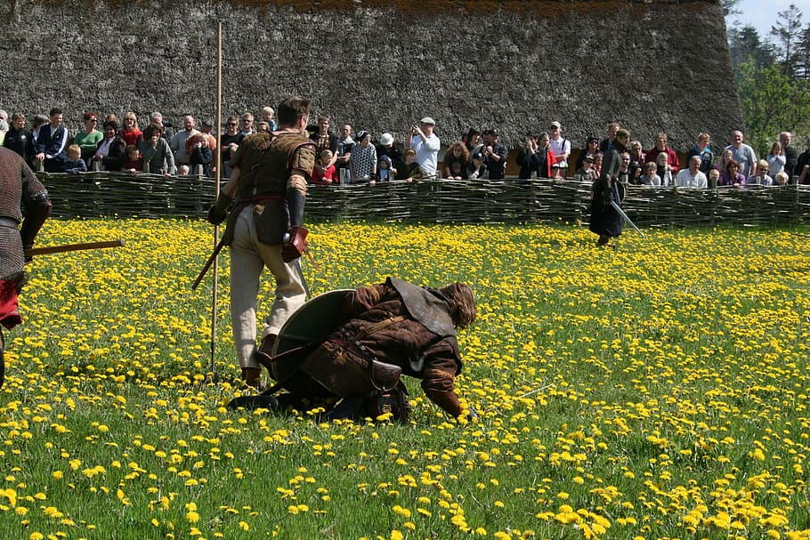 landscape, people, field, flowers, actors, audience, crowd, daylight HD wallpaper
