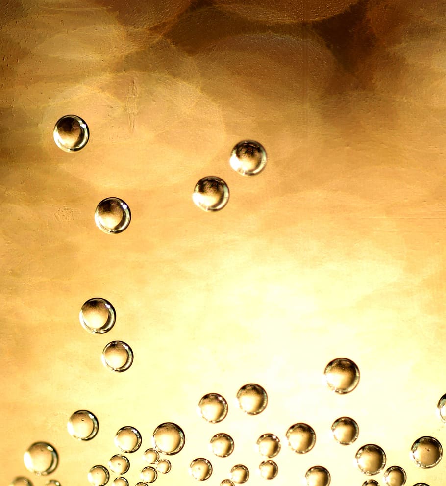 up, stampede, cuttlefish, bubbles, no people, backgrounds, water HD wallpaper