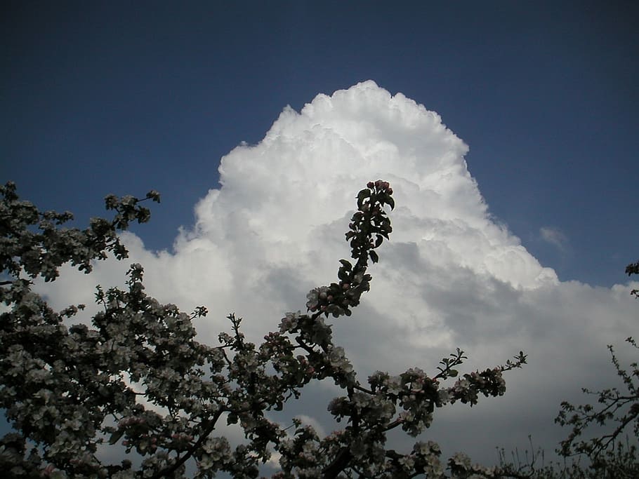 clouds, white, cumulus cloud, mood, sky, beautiful, nature HD wallpaper