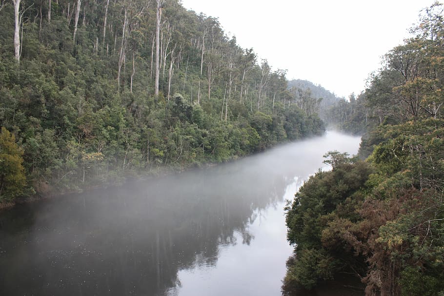 river, fog, mist, trees, water, nature, landscape, view, outdoors HD wallpaper