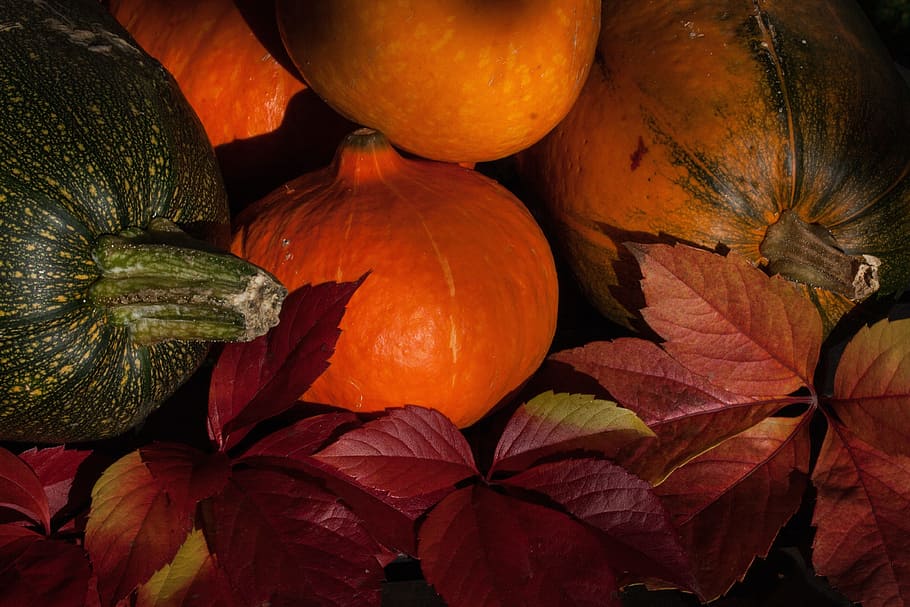Kabocha, Cucurbita Maxima, Pumpkins, cucurbitaceae, orange HD wallpaper