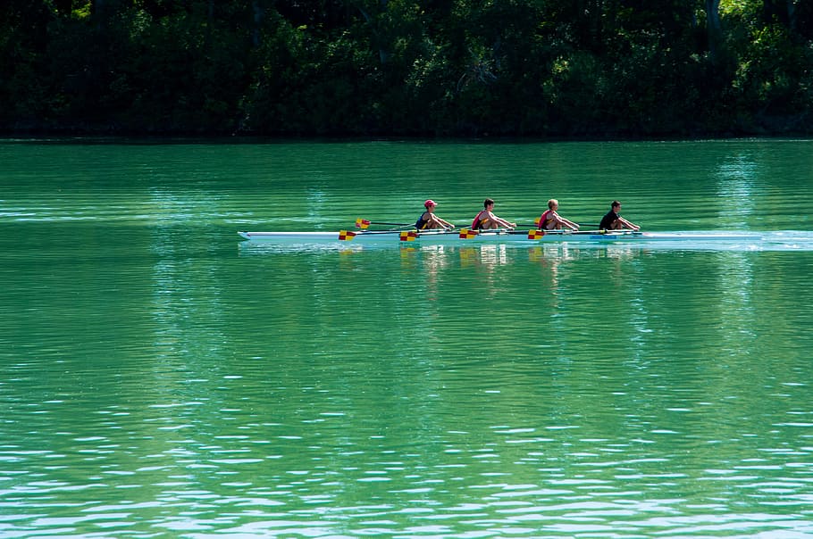 Oars, Boat, River, Water, Rhône, green, france, beaucaire HD wallpaper