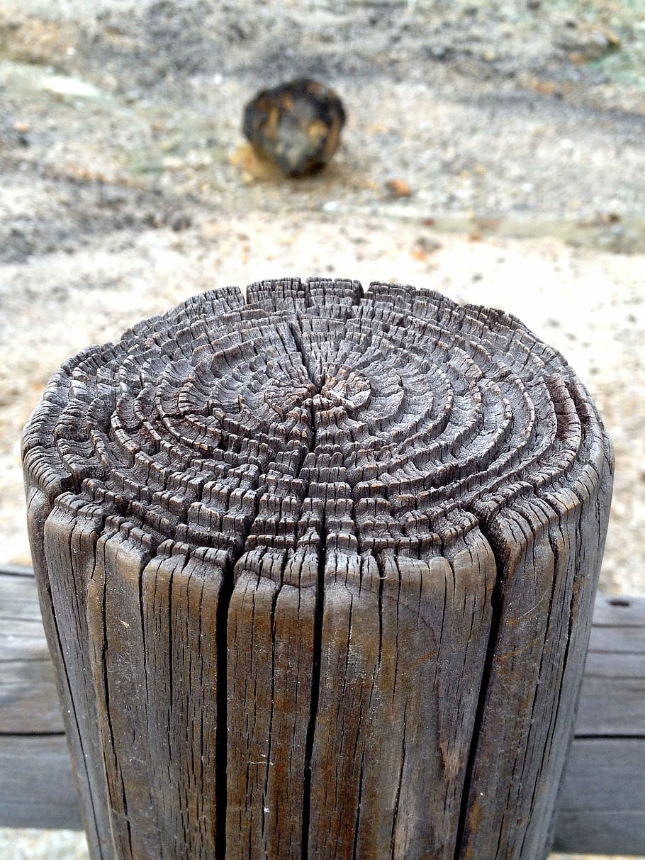 stakes, wood, trees, wood - material, close-up, tree stump HD wallpaper