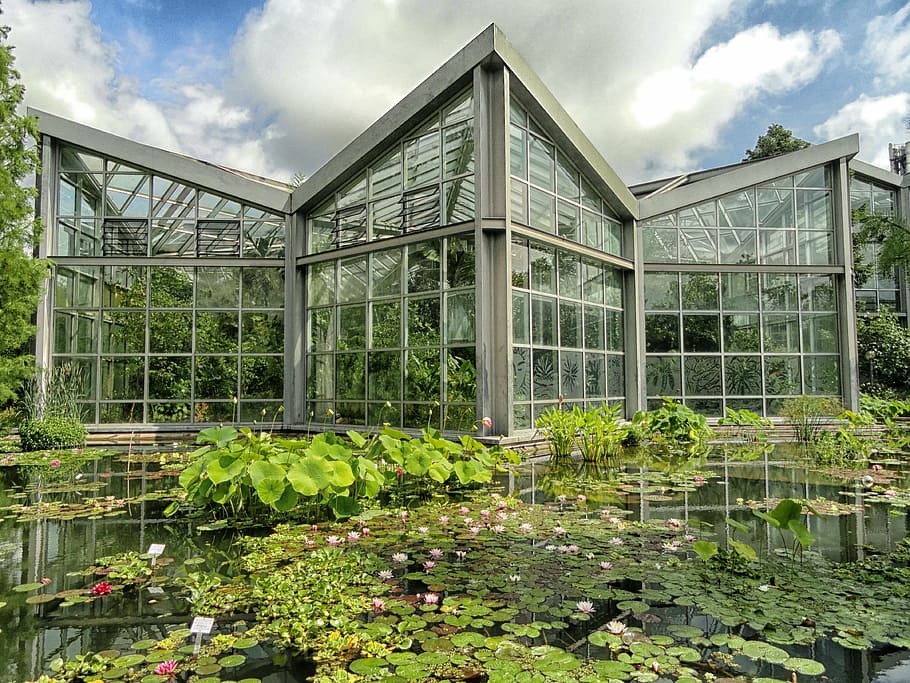 gray greenhouse effect, frankfurt, germany, botanical garden HD wallpaper