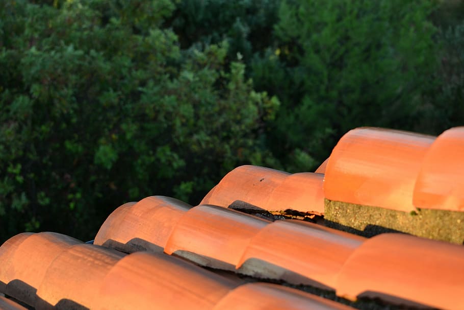 Roof Tiles, South, Sol, Contrast, orange, green, trees, day HD wallpaper