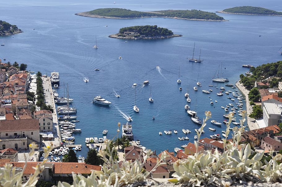 assorted boats docked during daytime, hvar, dalmatia, island HD wallpaper