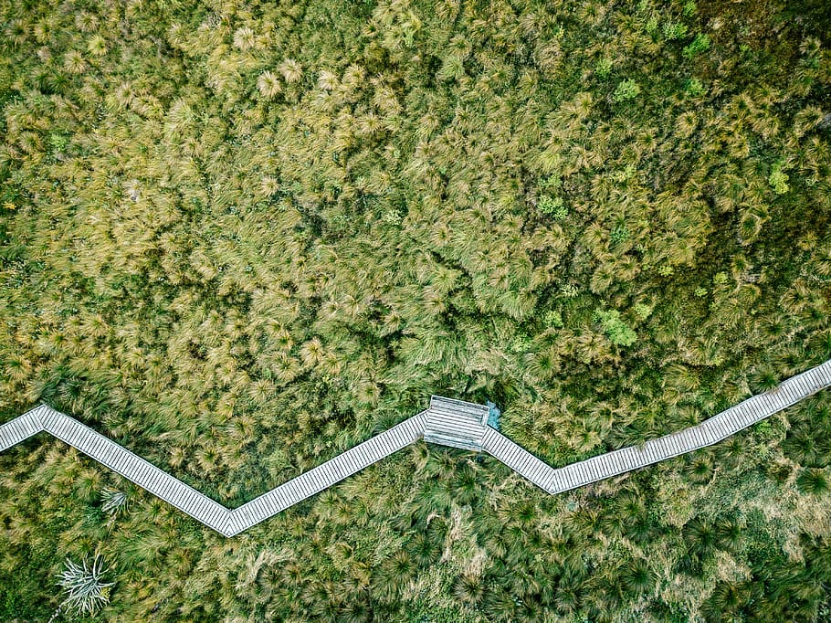 aerial photo of jungle, untitled, footpath, drone view, grass HD wallpaper