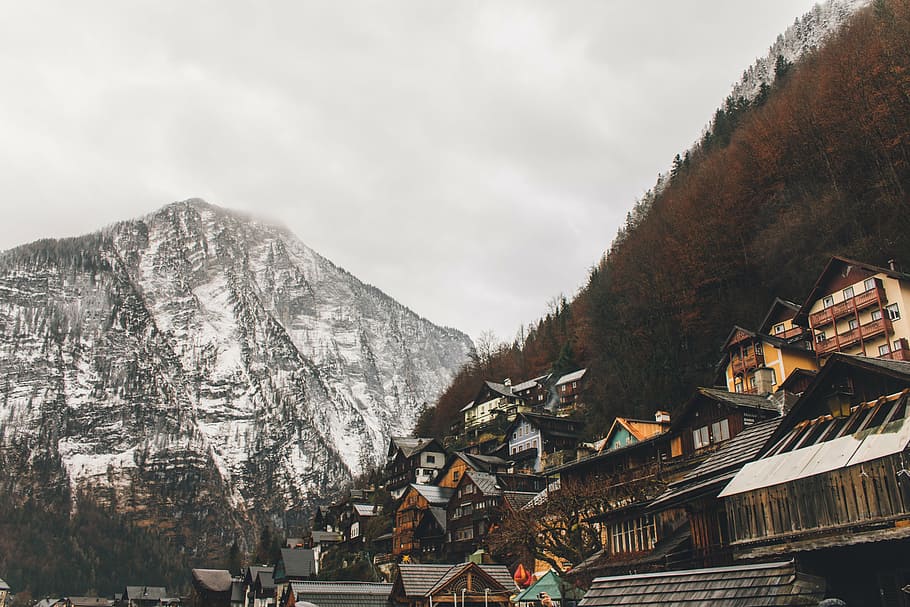 brown and yellow wooden houses near mountain, white, front HD wallpaper