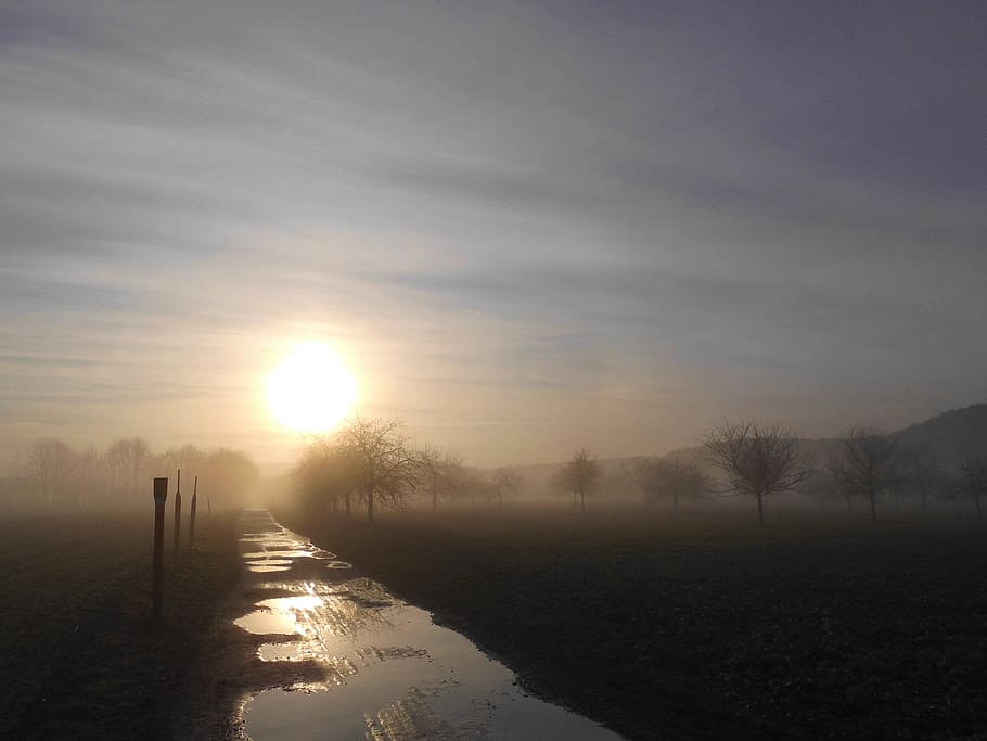 Away, Fog, Nature, Landscape, Mystical, early in the morning HD wallpaper