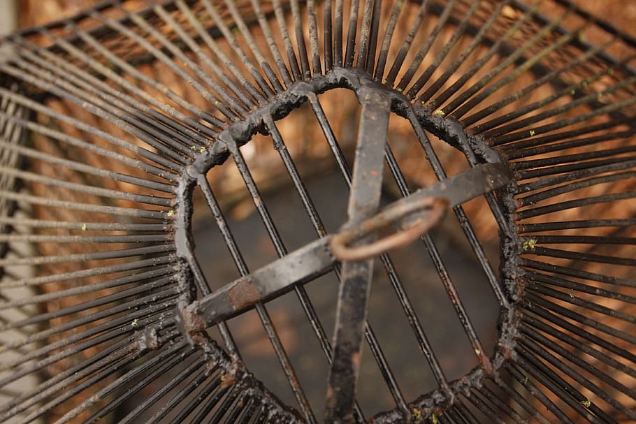 birdcage, birds, vintage, decoration, wire, feather, animal HD wallpaper