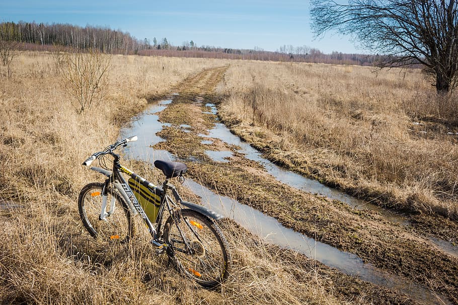 bike, led, ride, trip, stroll, dirt, spring, stained, skiing HD wallpaper