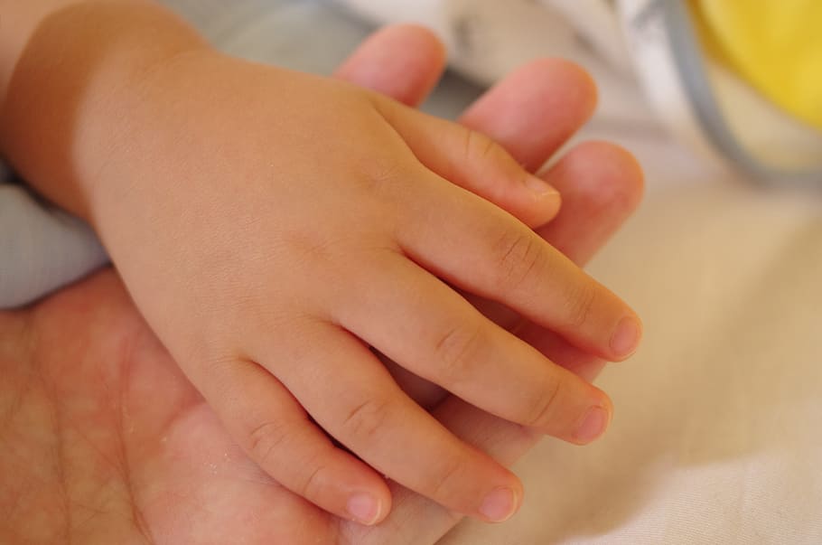parenting, hand, love, kids, human body part, human hand, indoors HD wallpaper