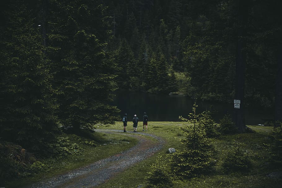 three person walking on pathway near trees, three person in near lake during daytime HD wallpaper