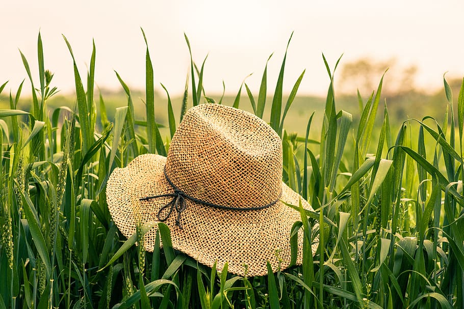brown woven hat on green plant, summer hat on grass field, green grass HD wallpaper