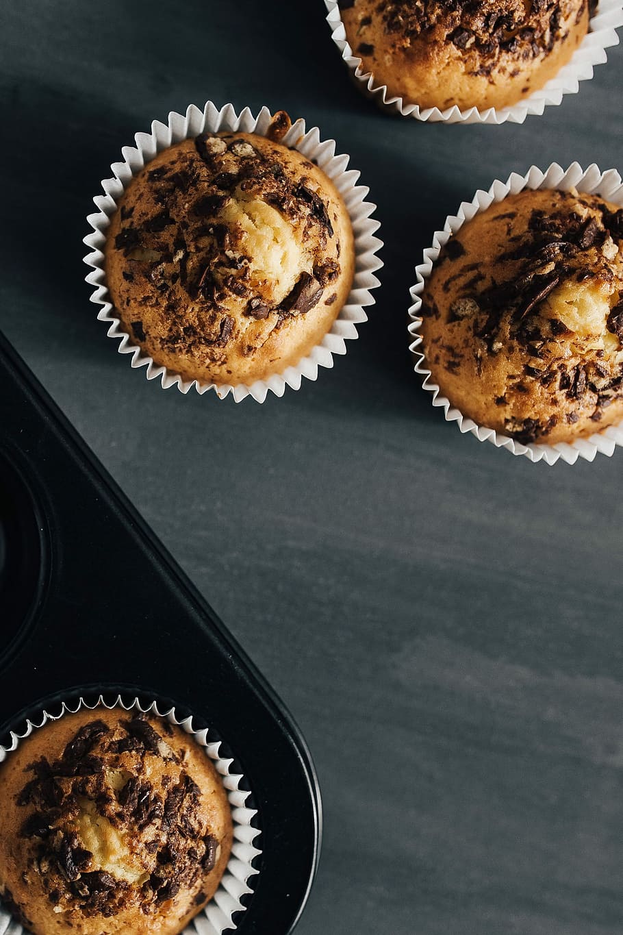 Homemade chocolate chip muffins, baking, pastry, tray, dessert
