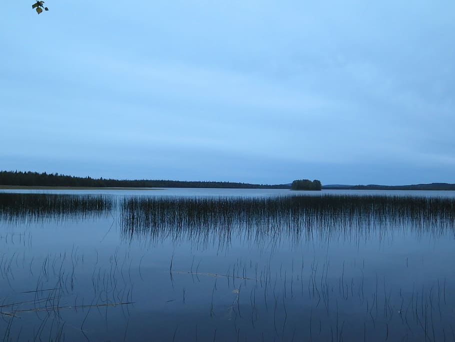 Nature, Lake, Reed, Silent, blue, finland, reflection, tranquility HD wallpaper