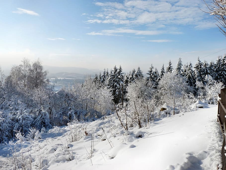winter, landscape, wintry, winter dream, snow, cold temperature HD wallpaper