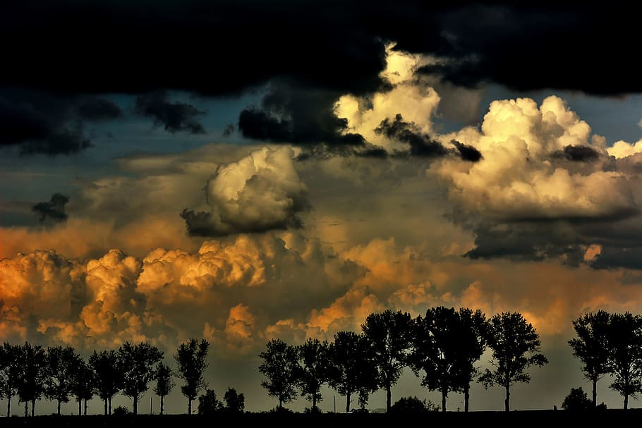 silhouette of trees, sky, nature, blue, landscape, europe, sunset HD wallpaper
